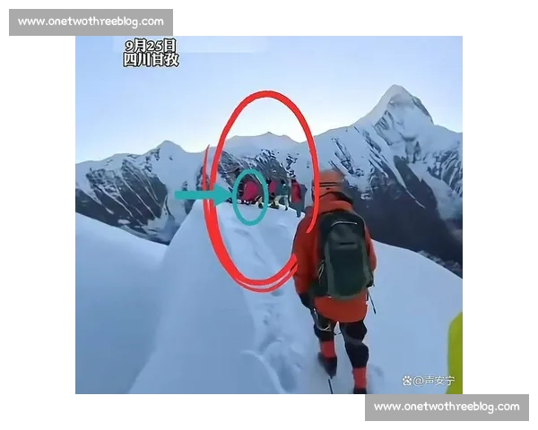 Discovery 探索家张京:珠峰 8200 米雪线生死滑坠实录 Discovery 探索家张京:珠峰 8200 米雪线生死滑坠实录