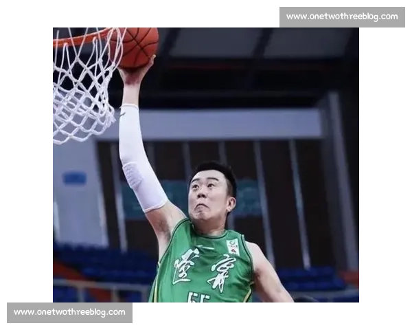 CBA 三老谢幕:韩德君退役 任骏飞转型助教 朱彦西离队 CBA 三老谢幕:韩德君退役 任骏飞转型助教 朱彦西离队